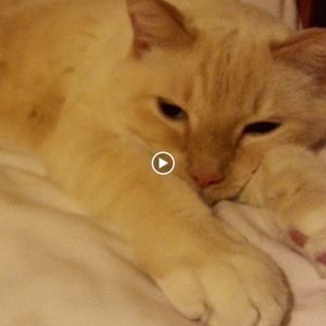 Meet your Posher, April